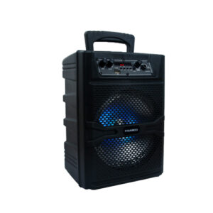 Nasco 30watt Audio Karaoke Nasd 300 in Ghana